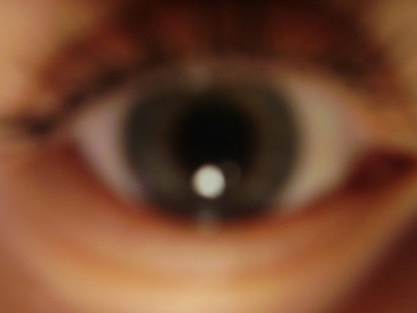 Василий Король