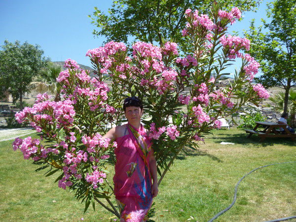 Елена Наумкина