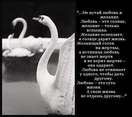 Алина Иванова