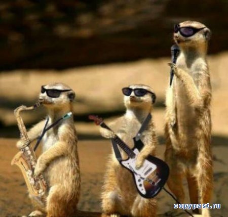 Иванов Антон