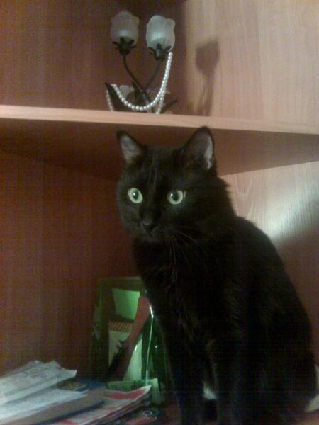 Сергей Богачёв