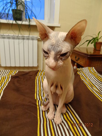 Константин *******