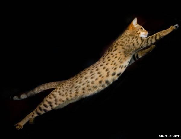 Милена Энгельгард