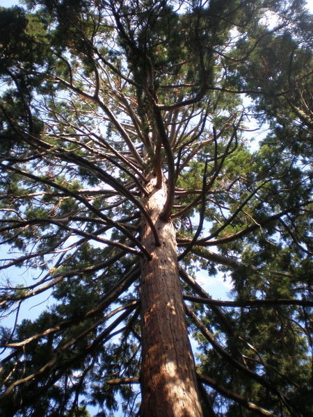 Наталья Атласова