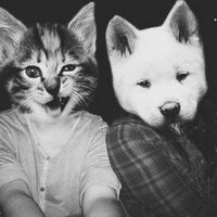 Діана Никорич