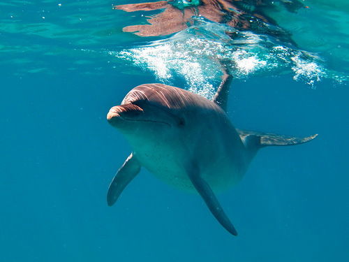 Людмила Токарева