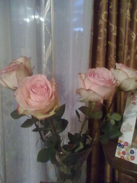 Елена Нетребенко