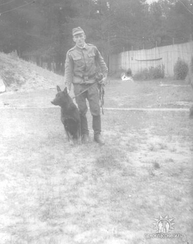 Александр Кривой