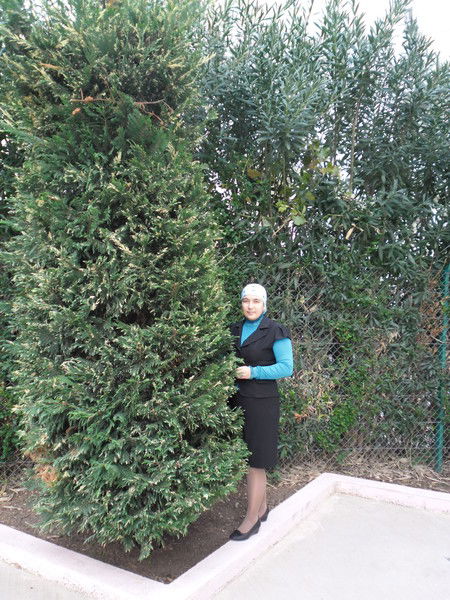 Гульгена Шарафиева