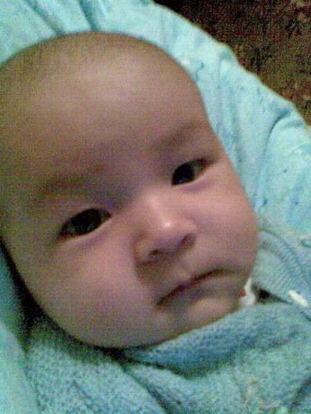 Эльмира Абишева