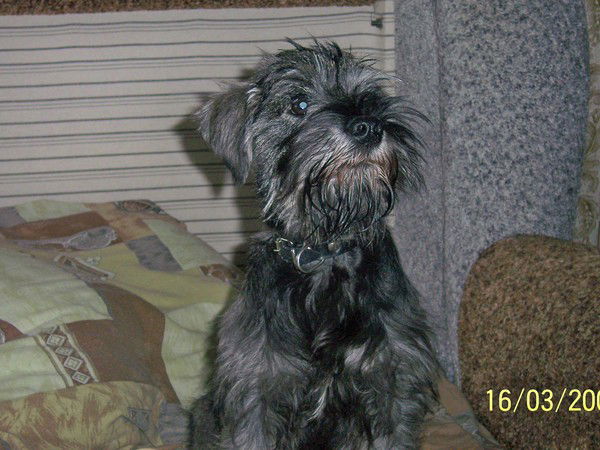 Андрей Зайцев