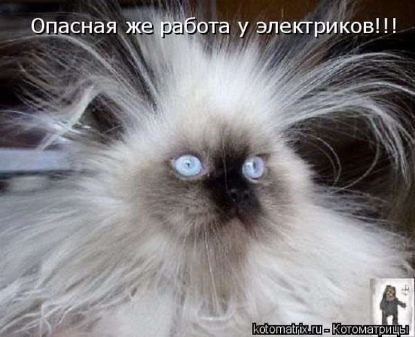 Алевтина Романенко