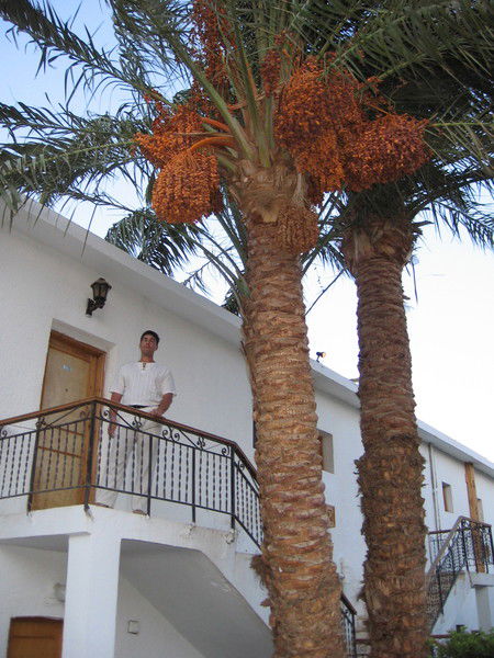 Владимир Г.