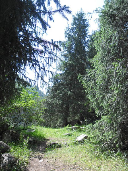 Болат Айдаров