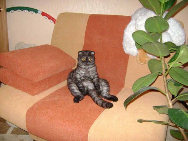 Анастасия Александровна