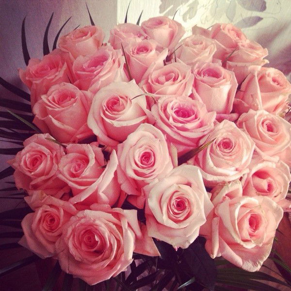 Наталья Милисевич