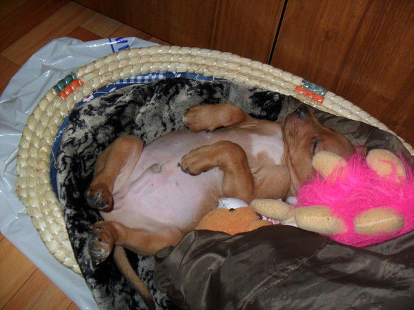 Валера Власов