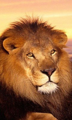 Евгений Могильников