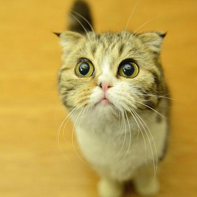 Юля Хабарова