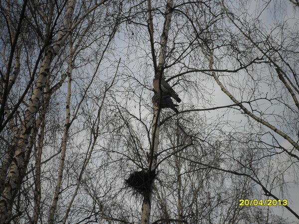 Анастасия Гасан