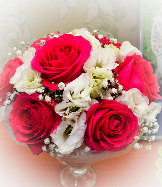 Татьяна Швецова