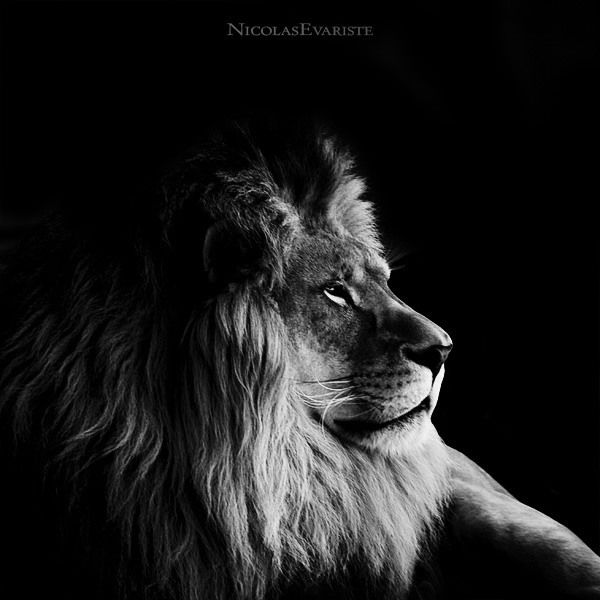 Инкар Алиева