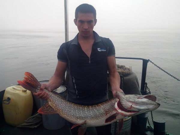 Антон Мытник