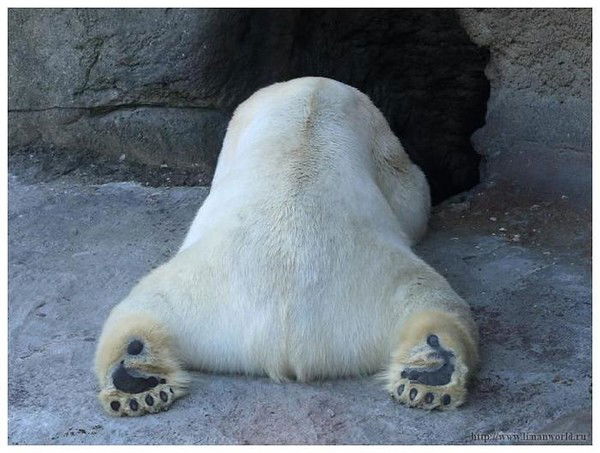 Егор Иванов