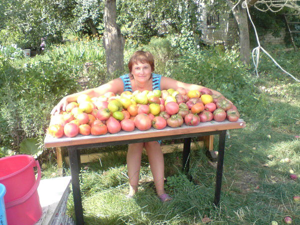 Елена Нижникова