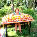 Елена Нижникова
