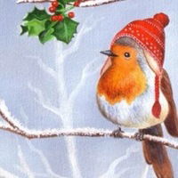 Алёна Дрожжина