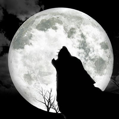 Ольга Ромахина