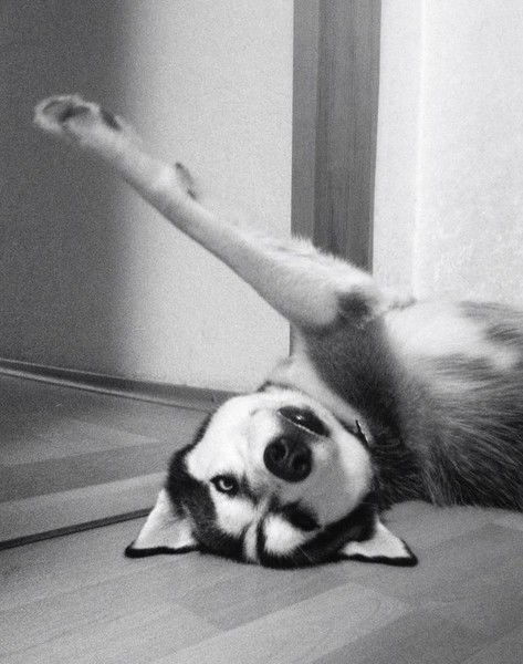 Ольга Ракова