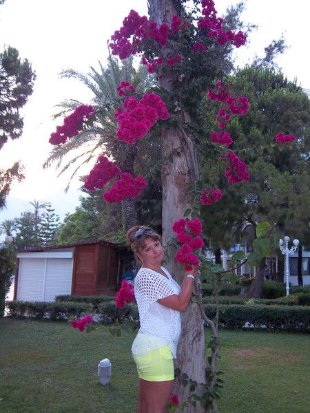 Наталья Корсун