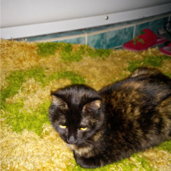 Екатерина ********