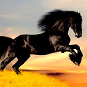 Берекет Сидегалиев