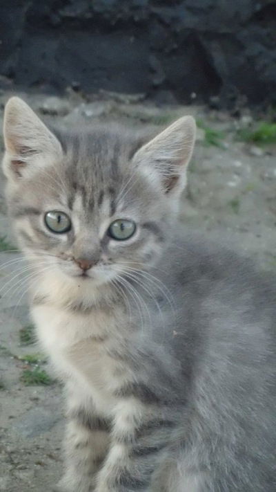 Наташа Швиденко