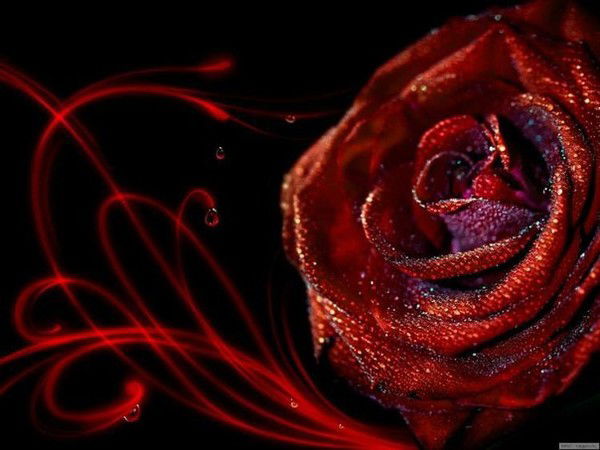 Софья Орлова