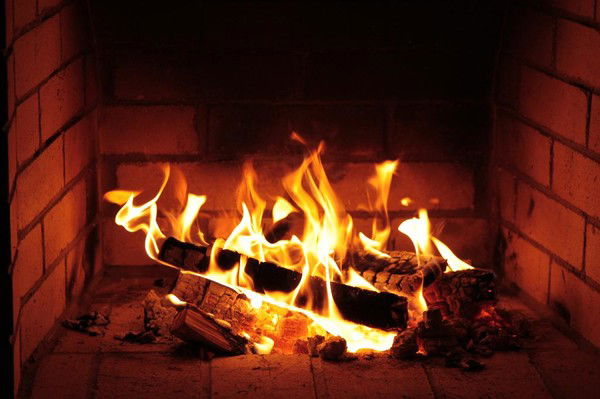 Елена Астапенко