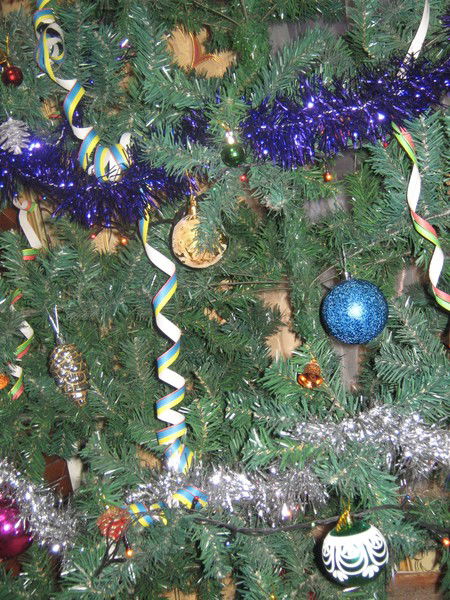 Феодосия Правдолюбова