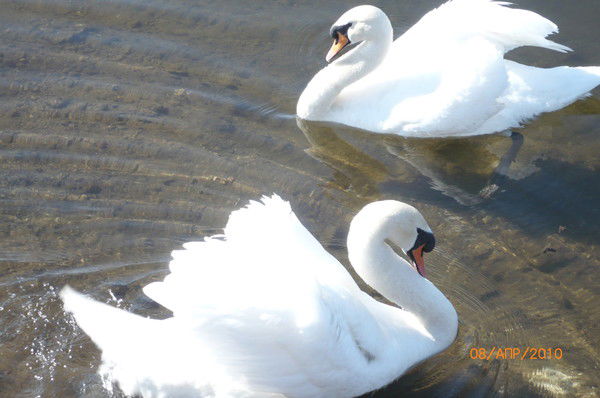 Эльвира Каскинова