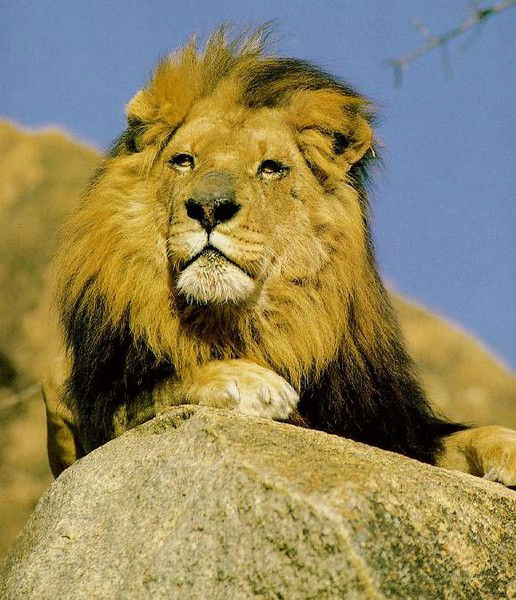 Марат Сулейменов