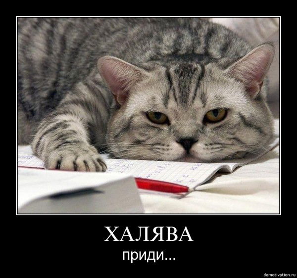 Михаил Веселов