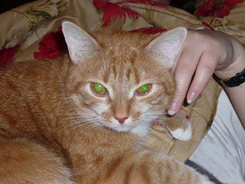 Катерина Павлова