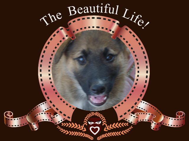 Анна Нефедова