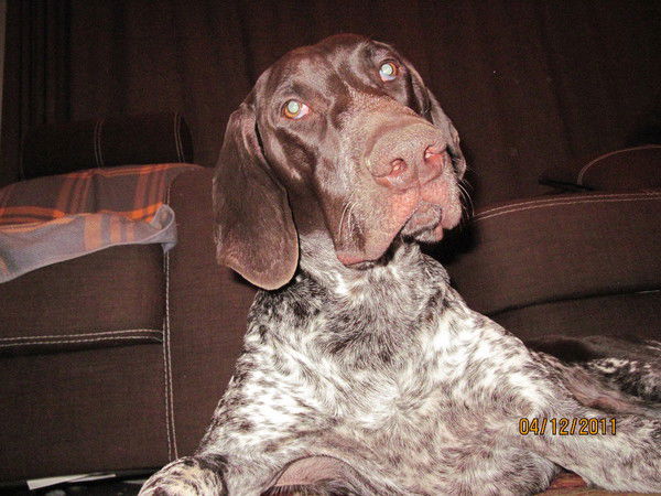 Мясник Мясницкий