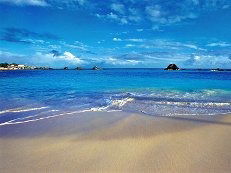 Андрей Агапов