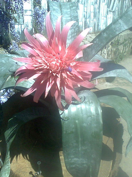 Юлия Муратова