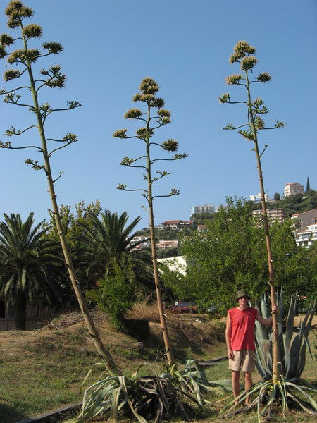 Юрий Орешников