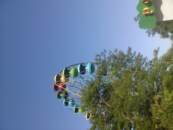 Александр Стогнушко